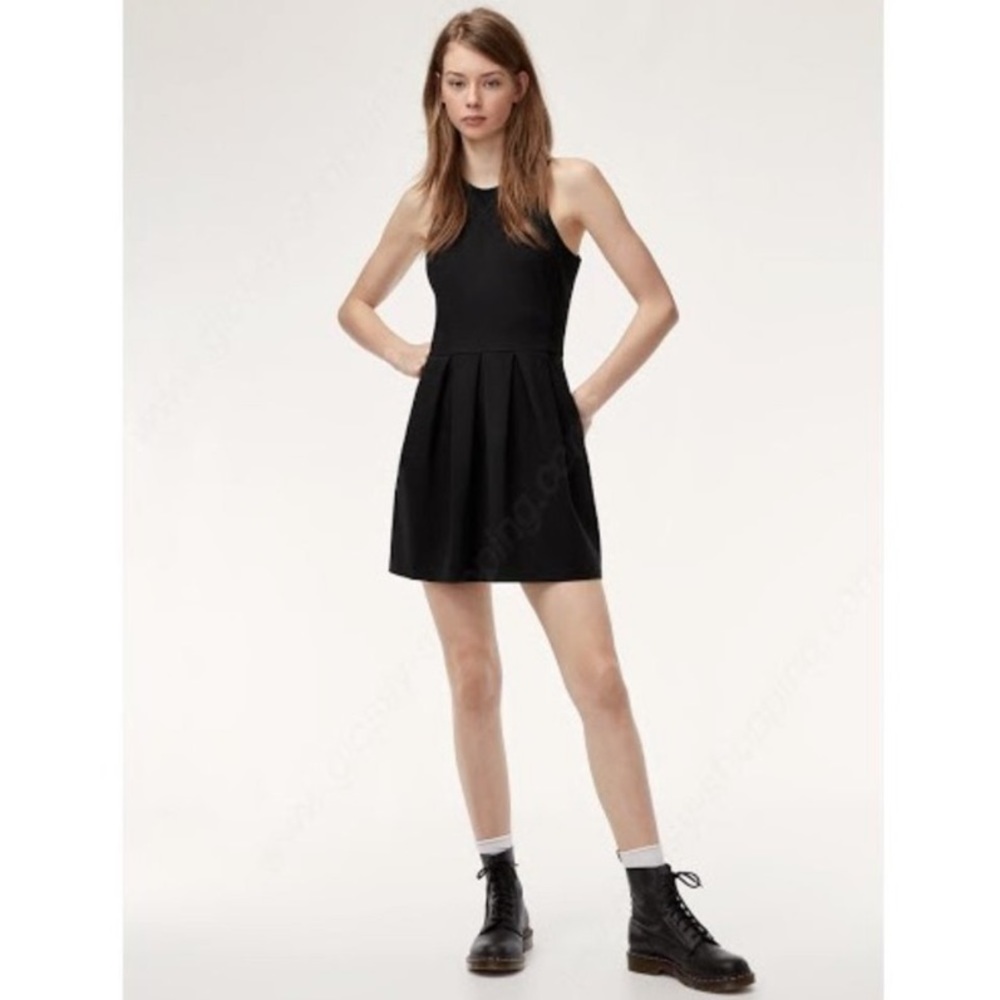 Aritzia Sunday Best Tartine fit & flare dress